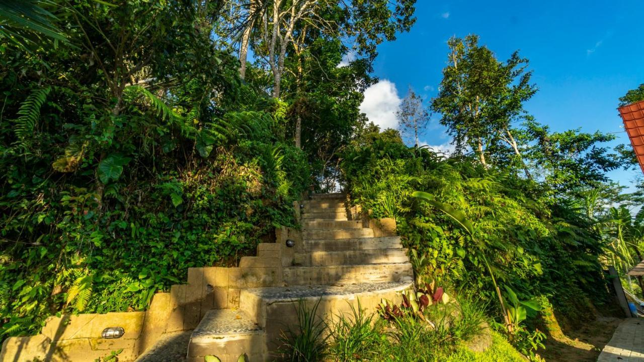 Anja Villas Ubud Tegallalang (Bali) Exterior foto